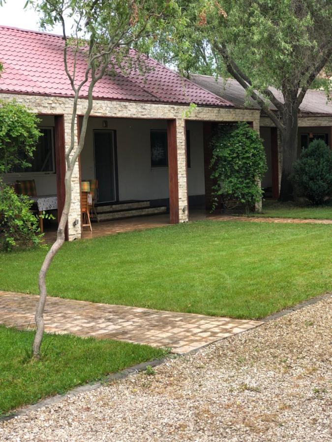 فيلا Năvodariفي Casa Eric المظهر الخارجي الصورة